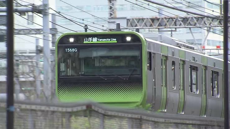 Young woman found dead on Yamanote Line tracks near Ikebukuro Station