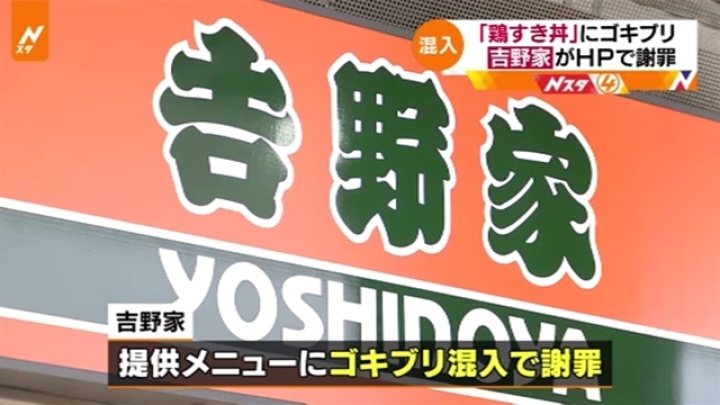 in Fukuoka City