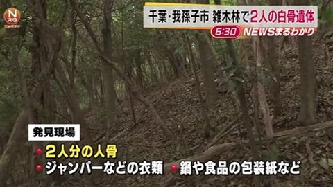 Chiba Cops 2 Corpses Found In Abiko Forest Chiba Cops 2 Corpses Found In Abiko Forest