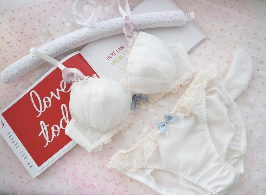 Accused women's underwear thief