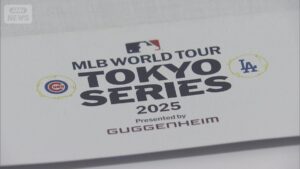 Chiba man arrested for scalping WBC tickets at up to 40 times face value
