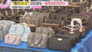 Chinese trio busted in Tokyo over stash of 200 fake Louis Vuitton bags