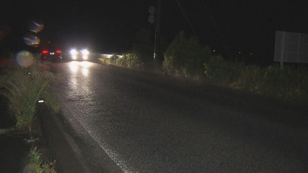 Woman, toddler found dead in sealed car in Aichi in apparent murder-suicide