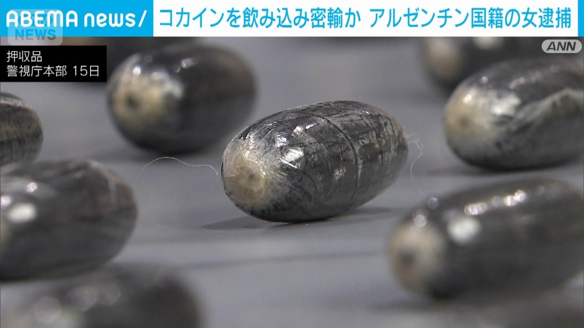 A scan revealed 101 cocoon-shaped plastic pellets hidden inside her digestive tract