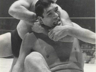 The Destroyer gets acquainted with Giant Baba