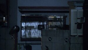 Disabled Hyogo man suspected of decapitating mother