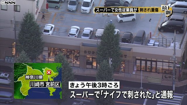 Nippon News Network