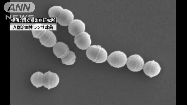 Streptococcal Toxic Shock-like Syndrome is caused by a bacterial infection