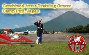 A U.S. Marine fled to Camp Fuji in Gotemba City after he allegedly crashed a car that he stole