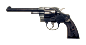 Police seized a revolver and another gun from the home of a former gang member in Fukuoka