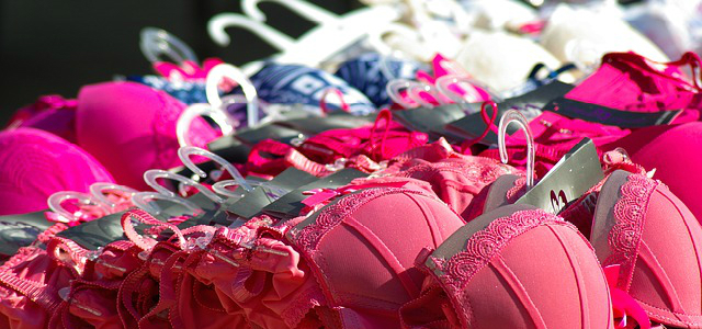 Fukuoka police found 2,100 women's underwear garments in the Fukuoka City residence of an accused thief