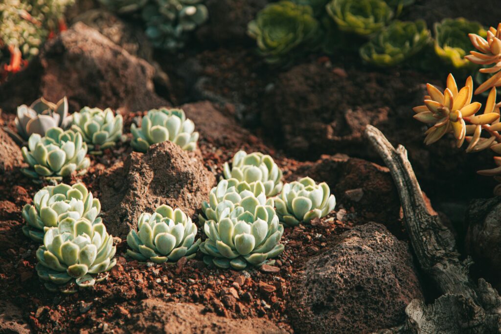Value-Adding Garden Upgrades To Try Out In 2026