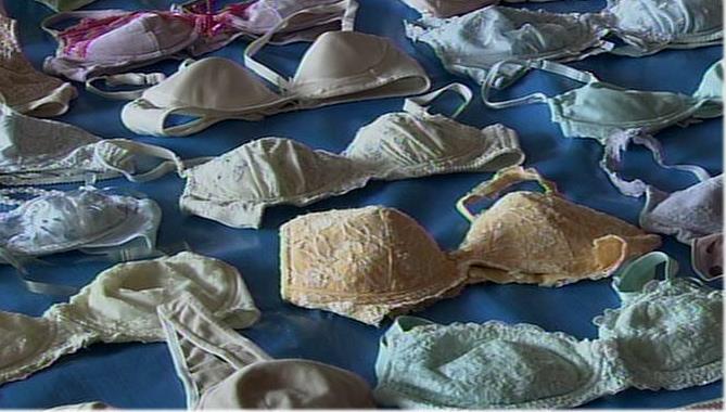 A 26-year-old man has been accused of stealing the underwear of a female colleague at her residence in Ota City