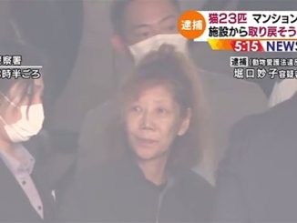 Taeko Horiguchi