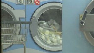 The suspect allegedly stole 38 pieces of women's underwear from laundry machines