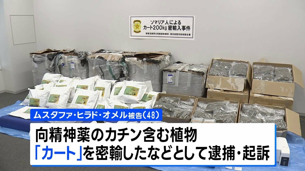 Somali nationwide suspected of smuggling 250 kg of khat – TokyoReporter
