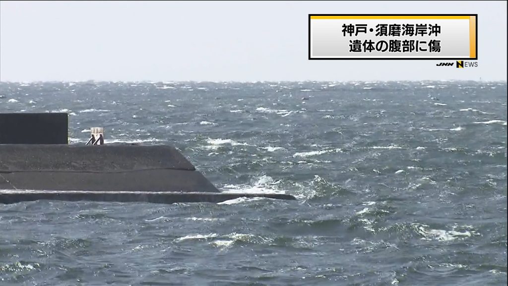 A male corpse was found entangled in a seaweed farm off the coast of Kobe