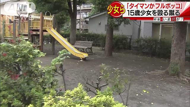 Two teenage girls assaulted a female classmate at a park in Koganei City in July