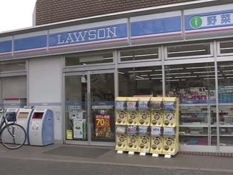 Lawson in Edogawa Ward