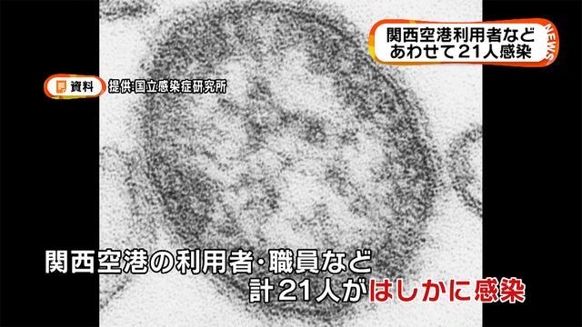 A total of 31 employees at Kansai International Airport are confirmed to have contracted measles