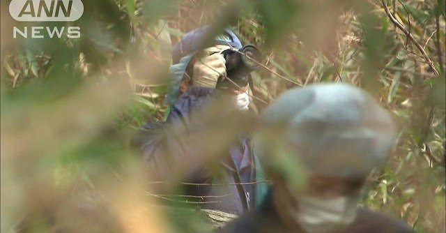 A male corpse was found in a bag in a forested area of the town of Rifu