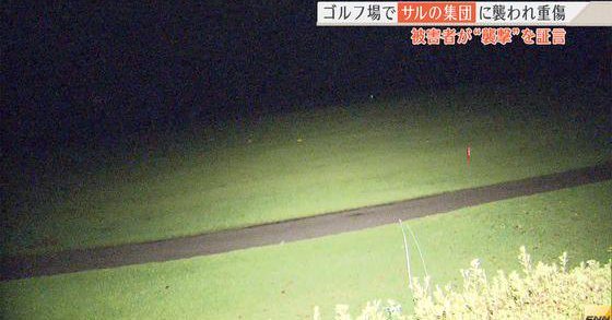 A male golfer received a leg injury after monkeys attacked a foursome on a course in Atsugi City