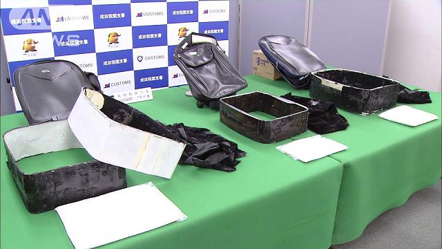 Police have accused two male British nationals in the smuggling more than 300 million yen in stimulant drugs through Narita International Airport