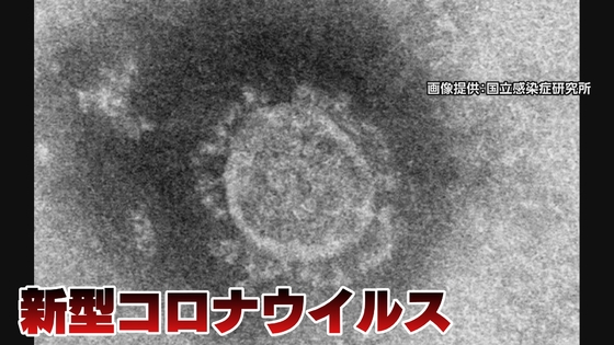 Aichi: Man infected with coronavirus goes to bars 'to spread' it