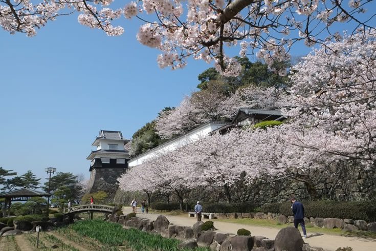 Omura police believe a body found Monday is that of a woman who went missing earlier this month