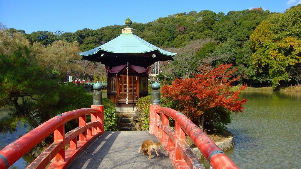 A man's corpse was found a few hundred meters from Jokoji Park