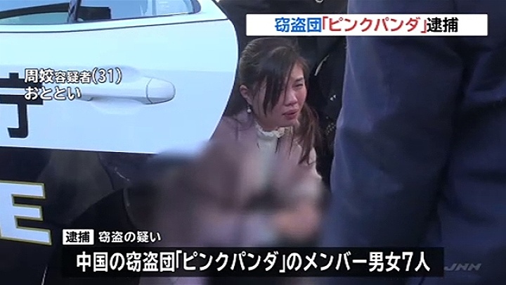 Tokyo police arrested 7 members of the "Pink Panda" theft ring in Koto Ward