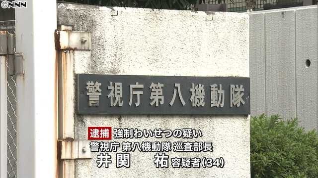 A sergeant for a riot squad has been accused of molesting a woman in Fuchu City in July