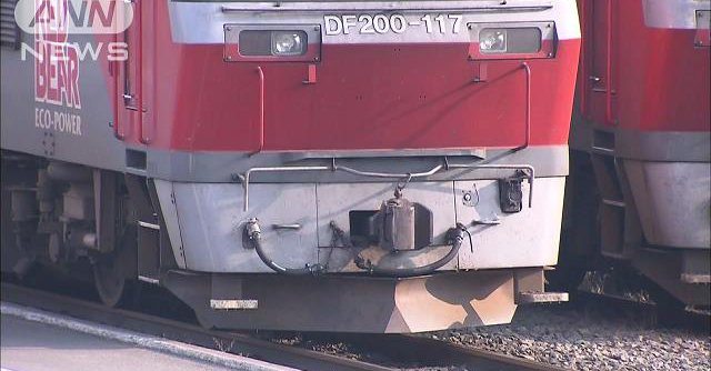 A train struck three run-away calves in Hokkaido (TV Asahi)