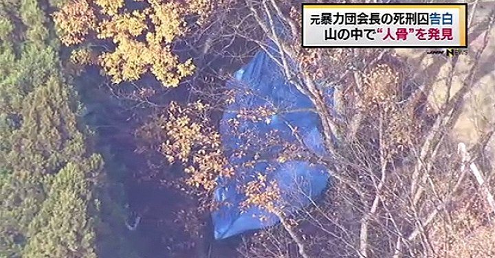 Human bones likely belonging to a 49-year-old real estate executive were found in a forested area of Saitama Prefecture on Tuesday