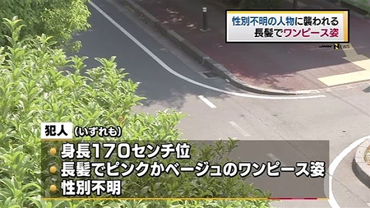 Saitama police have received reports of a person in a dress assaulting two persons in Saitama City on Tuesday