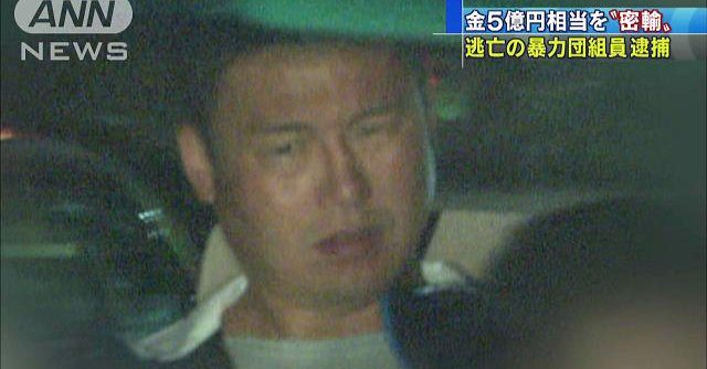 Kodai Seto