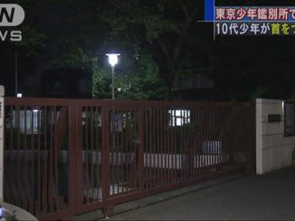 Tokyo Juvenile Classification Home