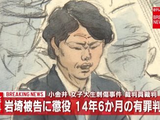 Tomohiro Iwazaki was sentenced to 14 years and six months in prison over the stabbing of idol Mayu Tomita