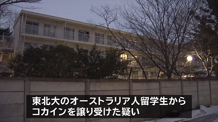 at Tohoku University