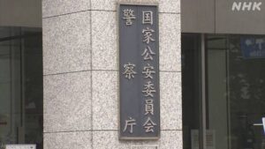 NPA: Fraud cases at record for first half of 2025