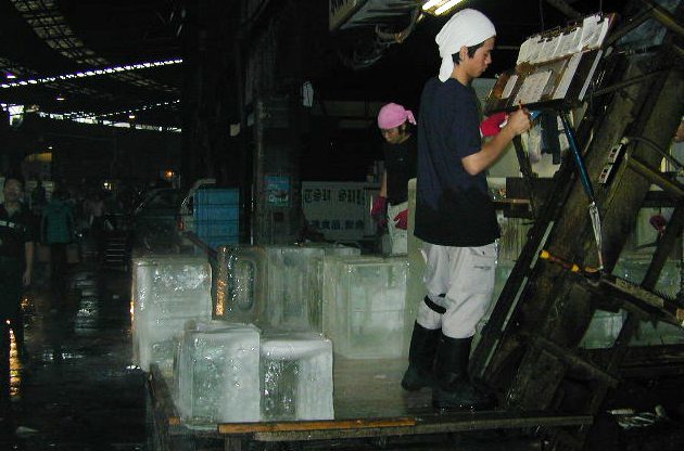 Ice is important in the sale of fish