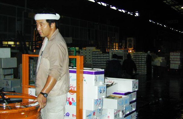 Moving through Tsukiji by cart