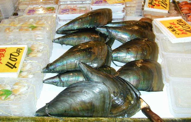 Shellfish on sale