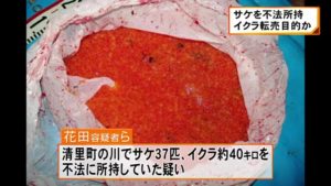Suspects stole 40 kilograms of salmon roe on November 6