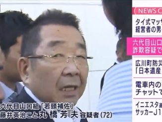 Yoshio Marubashi