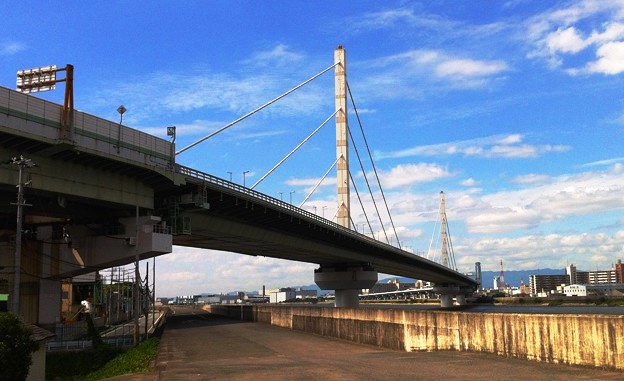 A male corpse found near where the Hanshin Expressway No. 4 Bayshore Route crosses the Yamato River in Osaka City on Thursday